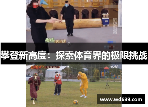 攀登新高度：探索体育界的极限挑战